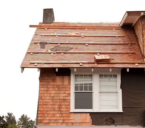 Best Siding Painting and Refinishing  in Vauxhall, NJ